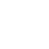 icons8-instagram-100